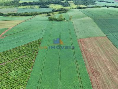 S�tio para Venda, em Santa Am�lia, bairro Centro