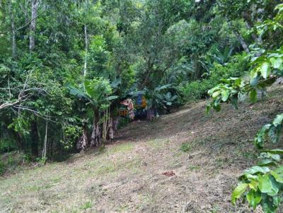 Ch�cara para Venda, em Antonina, bairro Caixa da �gua